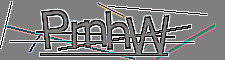 anibot image